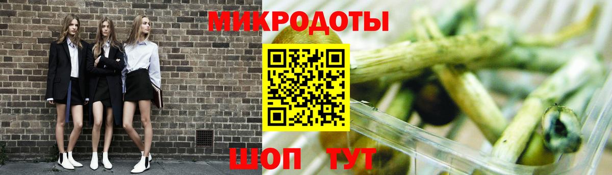 Псилоцибиновые грибы мухоморы Кольчугино